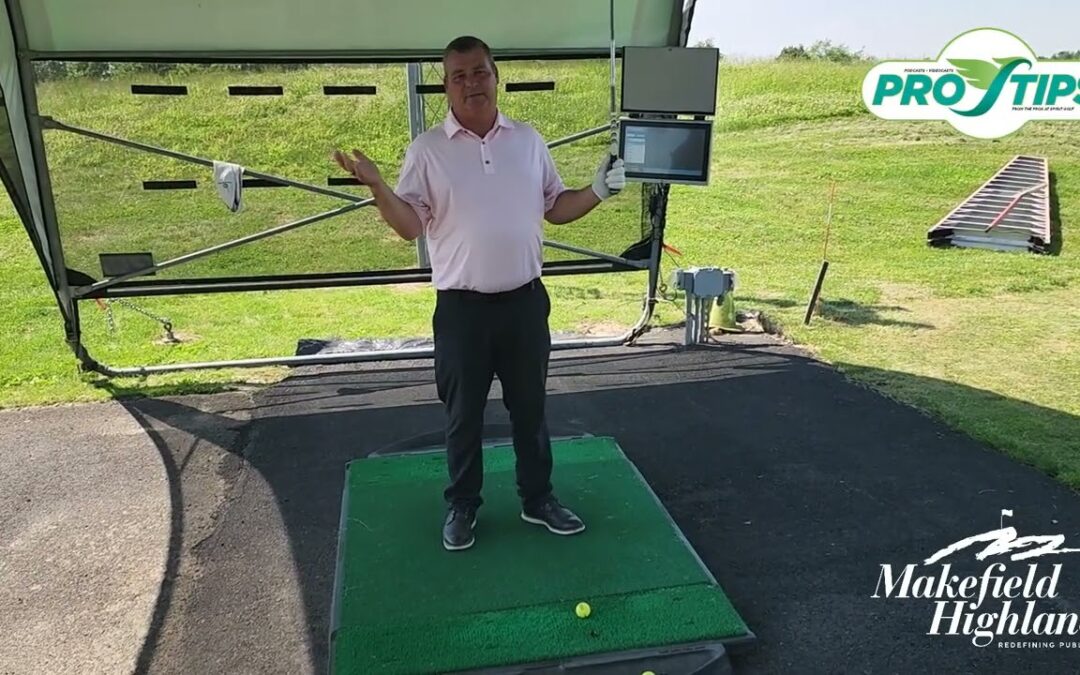 Dave’s Beginning Swing